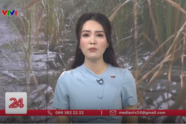 Miền Tây căng mình chống hạn - mặn | VTV24